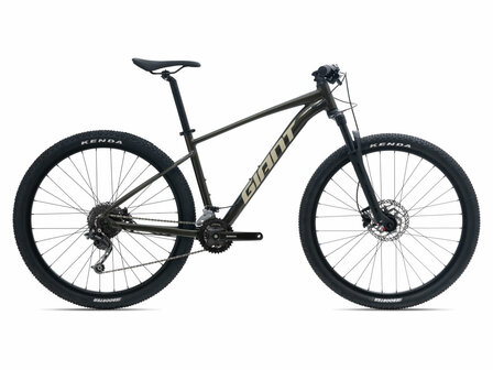 Giant Talon 2 29er